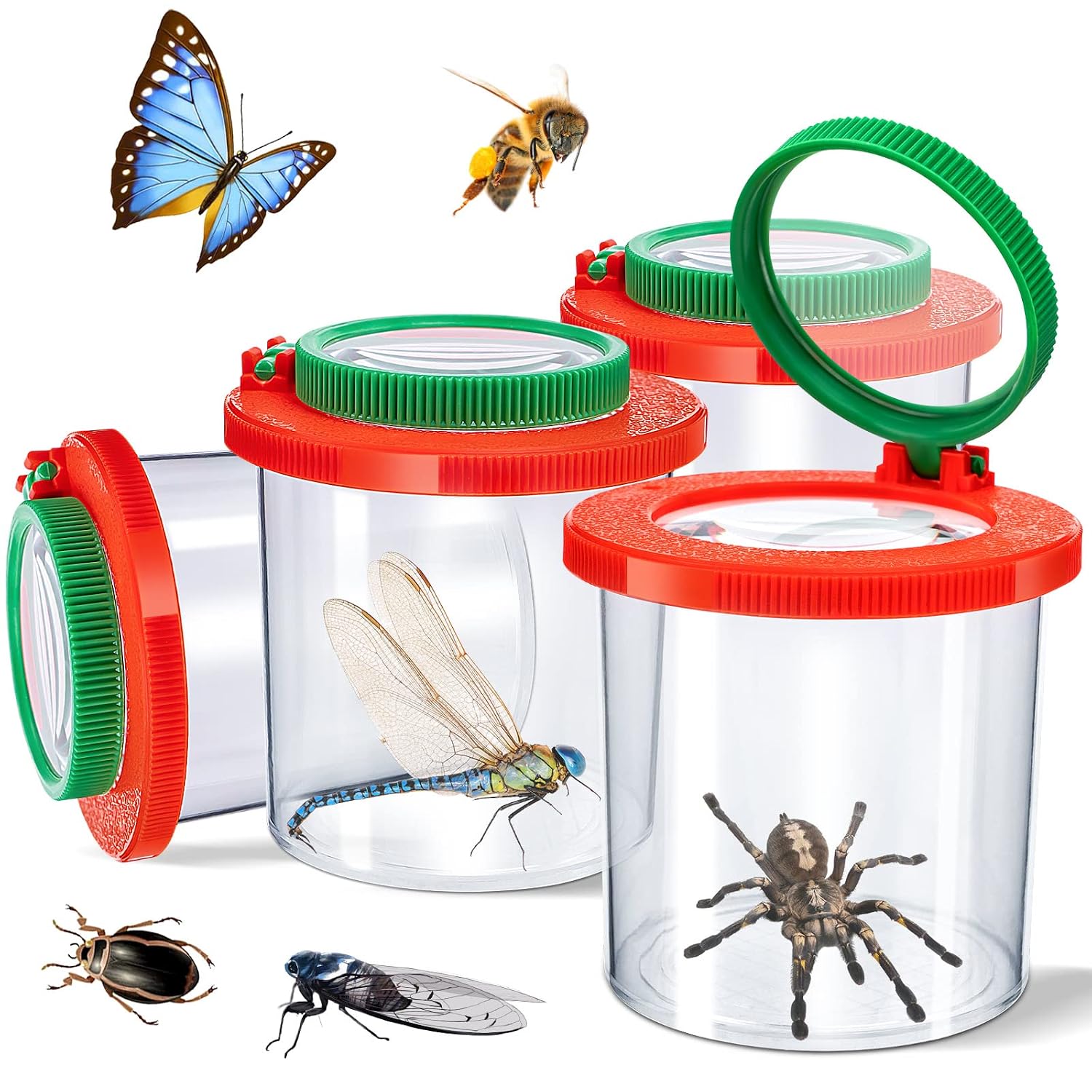 Buy Insert Bug Viewer for Kids, 4 PCS Magnifying Insect Box Bug Catcher ...