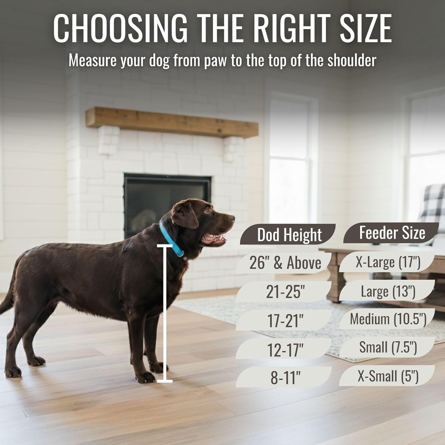 GTW Elevated Dog Bowl Stand for Large Dogs - Customized Feeding Station with Storage & Stainless Steel Bowls (Large, Dark Walnut)