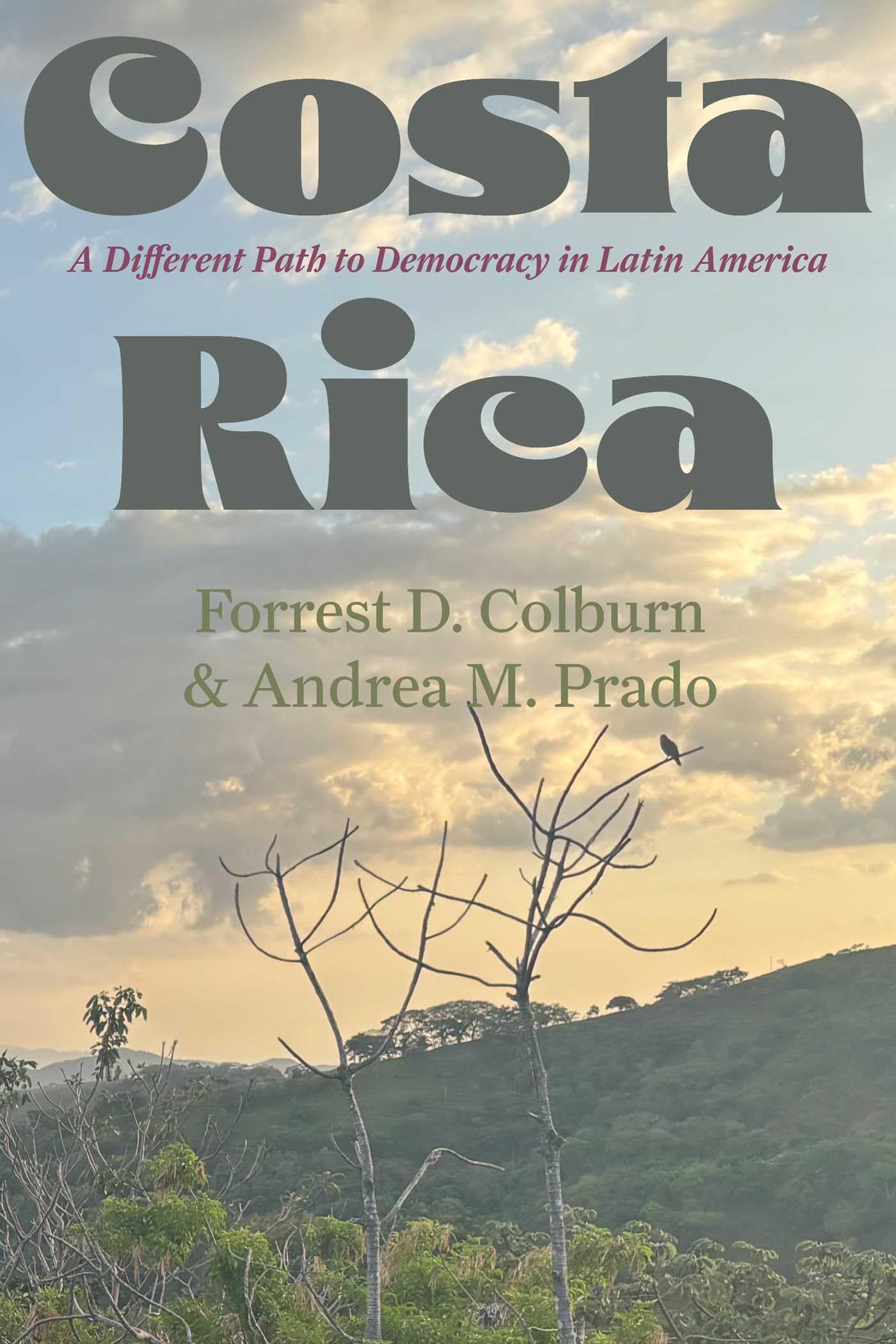 Costa Rica: A Different Path to Democracy in Latin America (The Americas in the World Series)