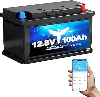 LiFePO4 12V 100AH Autobatterie 100A BMS über 5000 Mal Tiefzyklus Lithium Akku 1280W Abschaltschutz bei Niedriger Temperatur für Wohnmobil, Camping, Boot, Solare Heimanlagen
