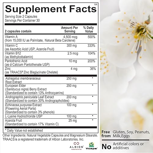 Miniatura 7 de Apoyo inmunológico de defensa inmediata: zinc, saúco negro, equinácea, vitamina A y C con B12, potente refuerzo de la inmunidad para adultos |