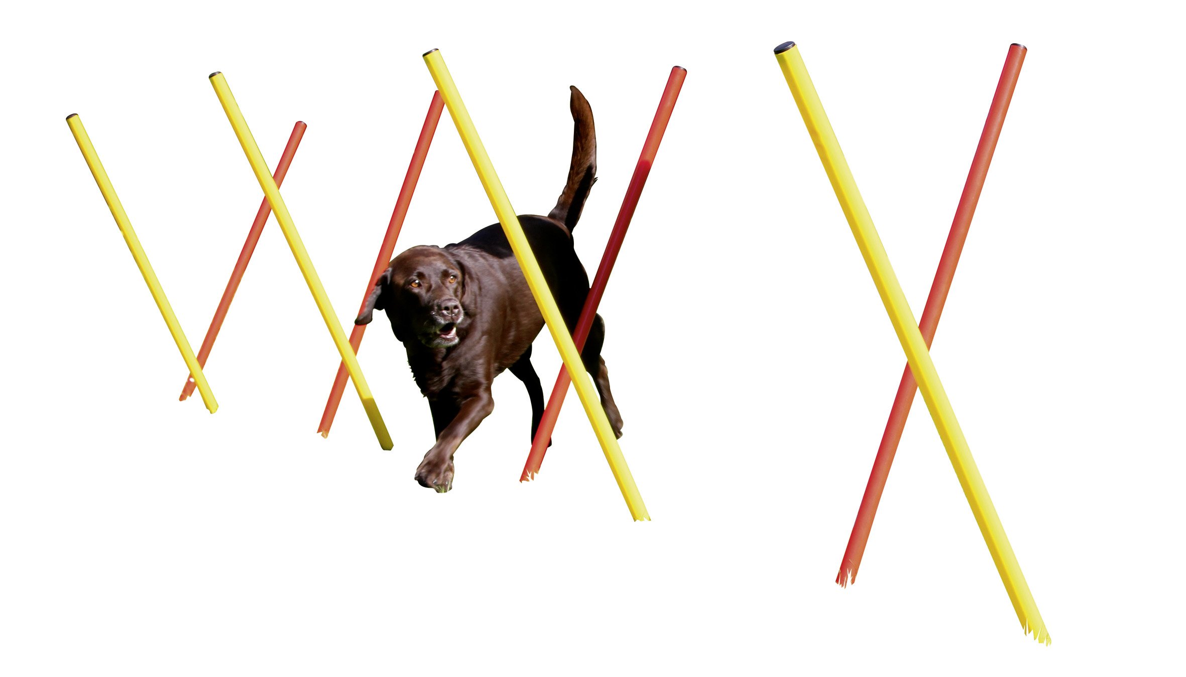 KERBL PET Agilidad Juego Completo 3 Piezas, Rojo/Amarillo