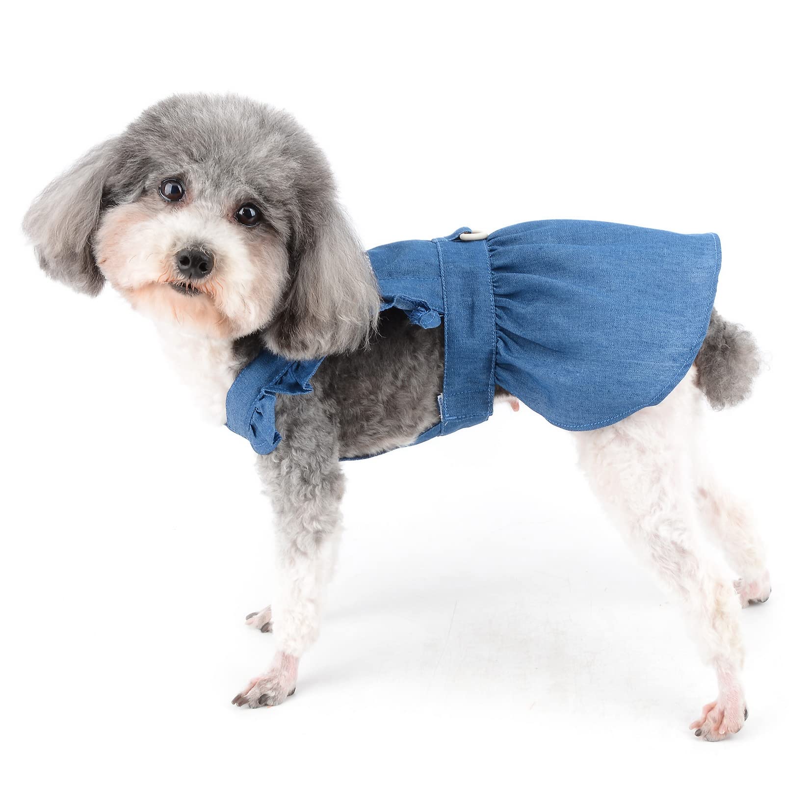 Vestito Per Cane Principessa | Gonna In Denim | Per Piccole Taglie | Per Matrimoni E Feste