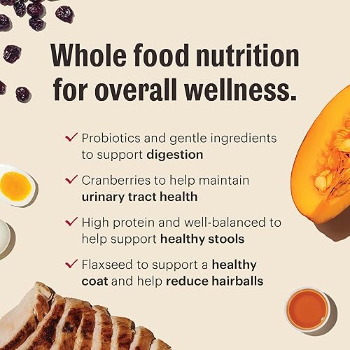 Miniatura 3 de The Honest Kitchen Clusters de Alimento Integral de Grado Humano Sin Granos de Pavo y Pollo Alimento Seco para Gatos, Bolsa de Prueba de 1 lb