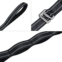 Vista 3 de EXCELLENT ELITE SPANKER Correa de nailon reflectante de doble capa para perro, con asa acolchada, correas de nailon de 5 pies para perros para Negro