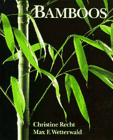 Bamboos