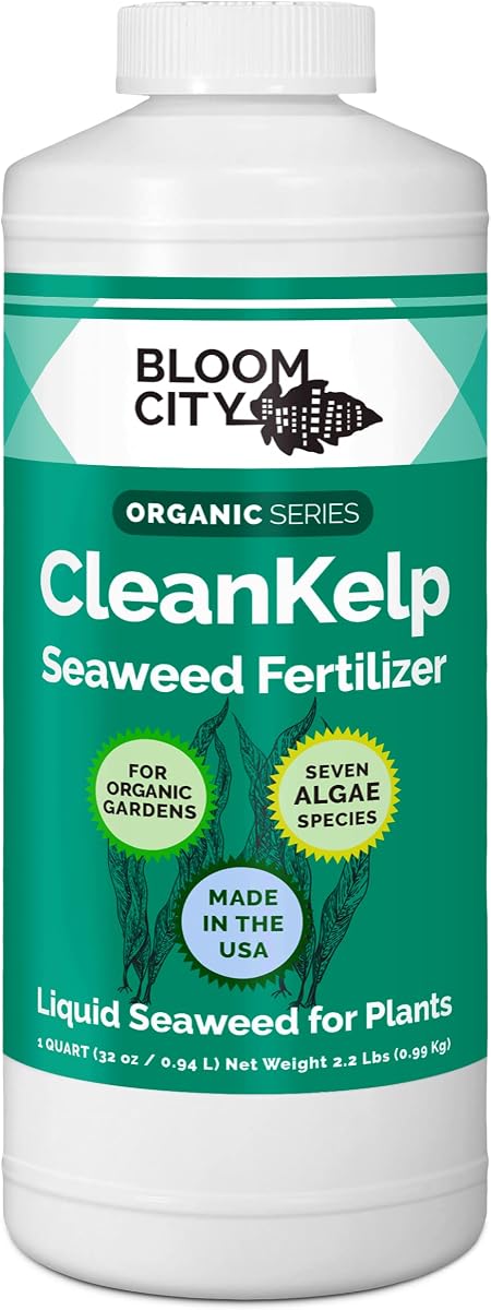 Bloom City Fertilizante líquido de algas y algas marinas para plantas, 32 oz | Fomenta un fuerte crecimiento de raíces, ayuda a aliviar el impacto del trasplante, pulverización foliar o empapado del suelo, uso en jardines interiores y exteriores.