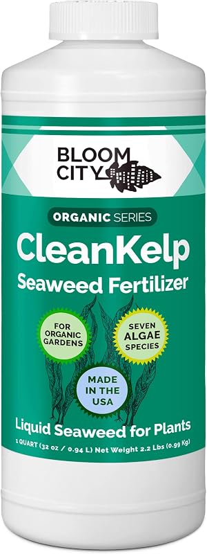 Bloom City Fertilizante líquido de algas y algas marinas para plantas, 32 oz | Fomenta un fuerte crecimiento de raíces, ayuda a aliviar el impacto del trasplante, pulverización foliar o empapado del suelo, uso en jardines interiores y exteriores.