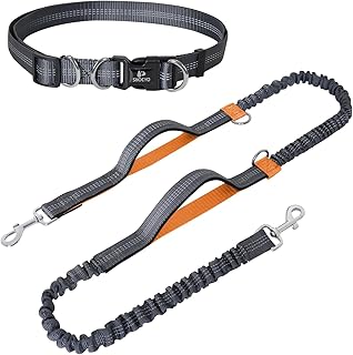 Joggingleine Hunde, Jogging Hundeleine für Mittelgroße und Große Hunde, Elastische und Reflektierende Hundeleine, Einziehbare Laufleine mit Doppelgriff & Taillengül