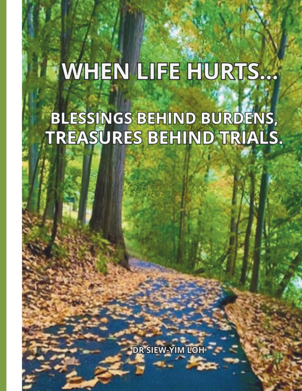 When Life Hurts..Blessings Behind Burdens, Treasures Behind Trials.: A 7-Week Christian Devotional Walk with God.