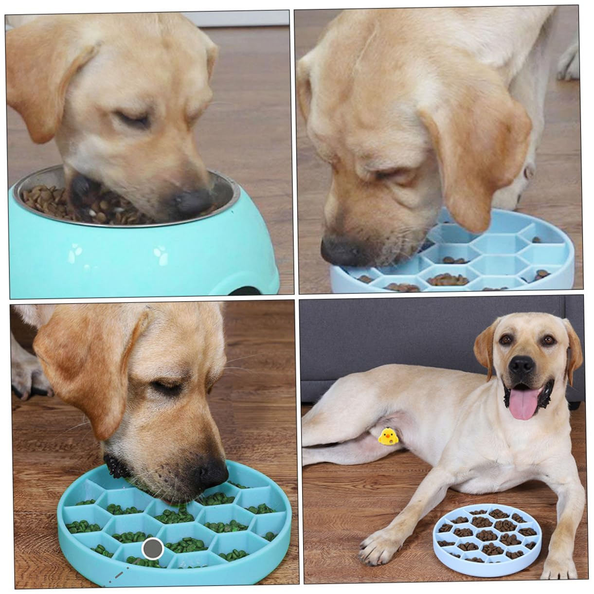 Ciotola per Cani Anti-ingozzamento in Silicone Blu Angoli Arrotondati, Facile da Pulire e Design Unico per Prevenire Rigonfiamento Durante i Pasti