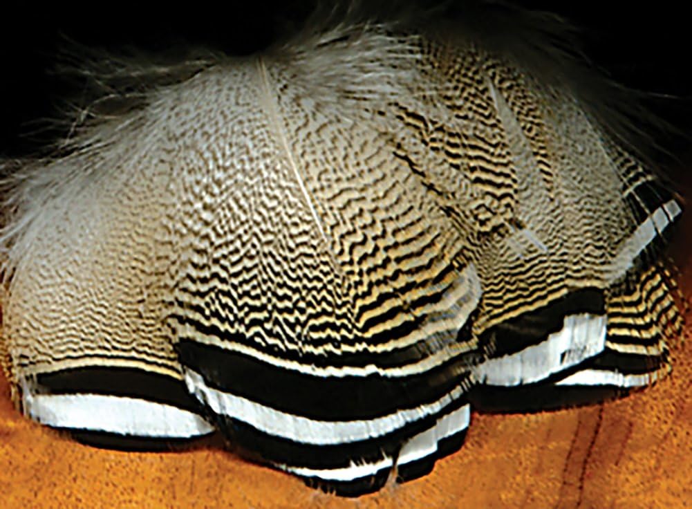 Gogailen Hairline Lemon Woodduck Flank Feathers