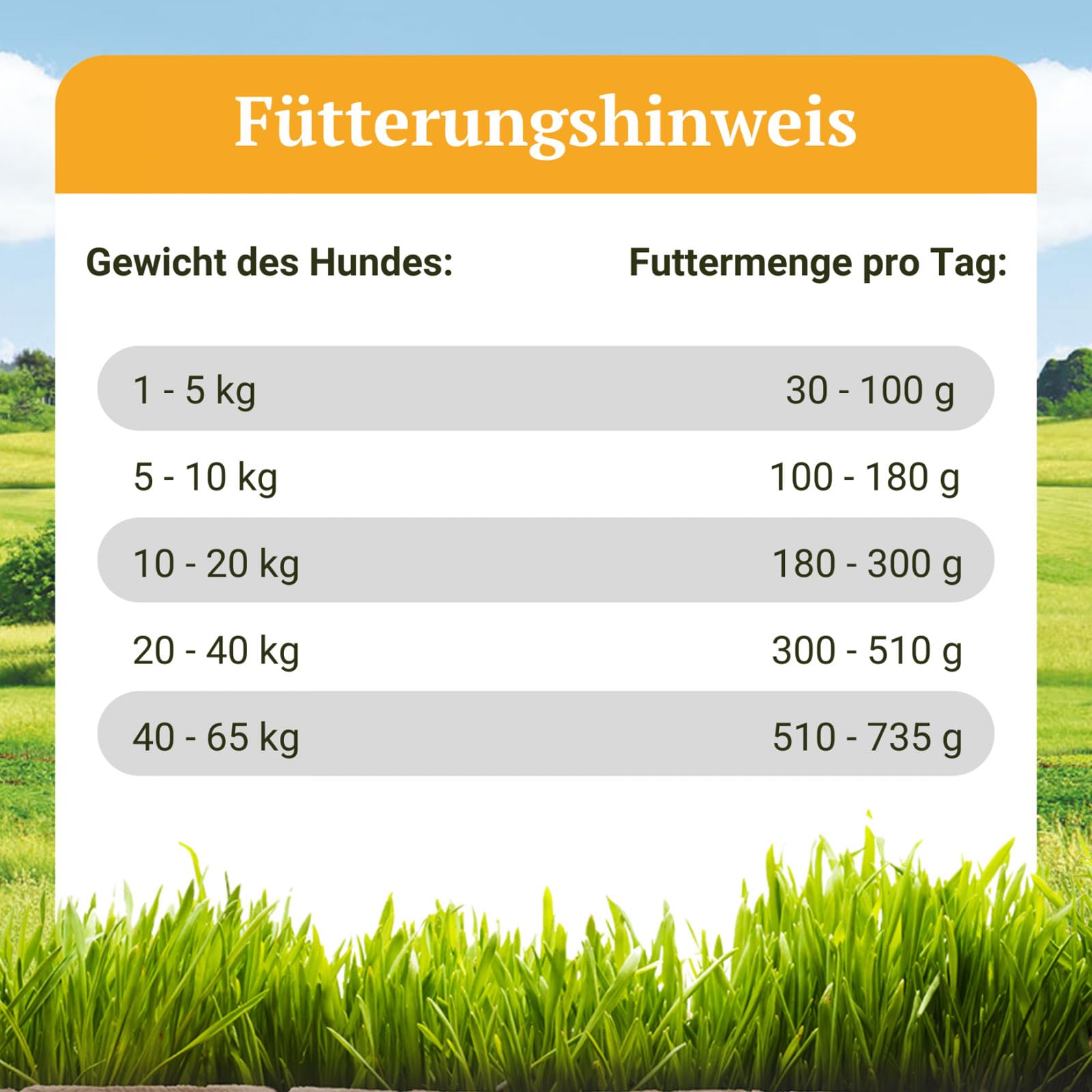 Bellfor Naturgut-Schmaus Hochwertiges Kaltgepresstes Hypoallergenes Trockenfutter für Hunde mit Insekten Getreidefrei Optimal für Ernährungssensible Hunde (10 kg)