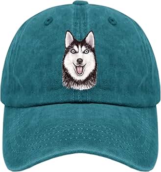 邦楽 DAAM / DUSTY HUSKY DUSTY HUSKY - DAAM | DLiP RECORDS OFFICIAL WEB