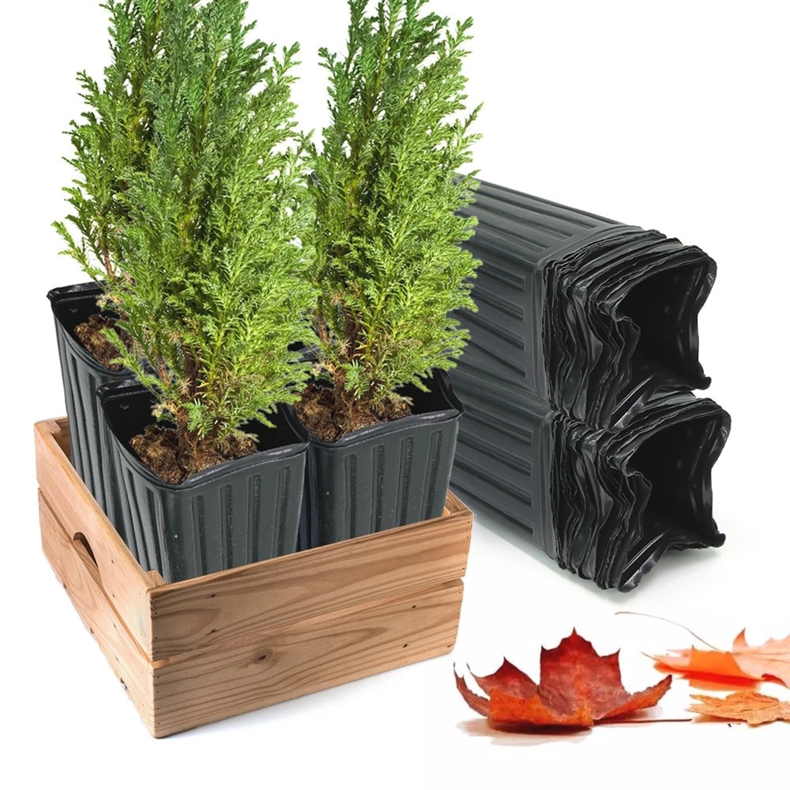 Hoher Blumentopf mit Entwässerungslöchern, 20,3 cm, 20 Stück, Baumzuchtbehälter für den Innen- und Außenbereich, ideal für Pflanzenzucht