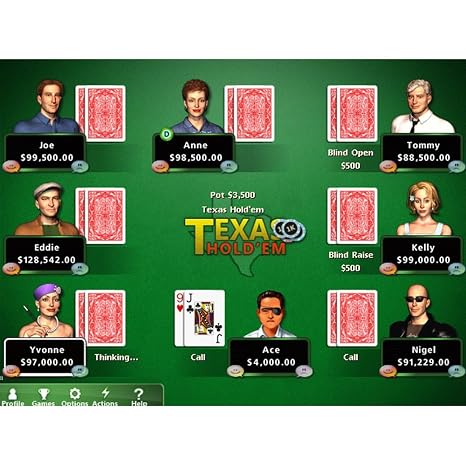 Hoyle Casino Games 2012 [Mac Download]