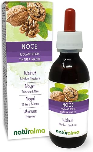 (Juglans regia) écorce des fruits ou péricarpe (brou de no Noyer