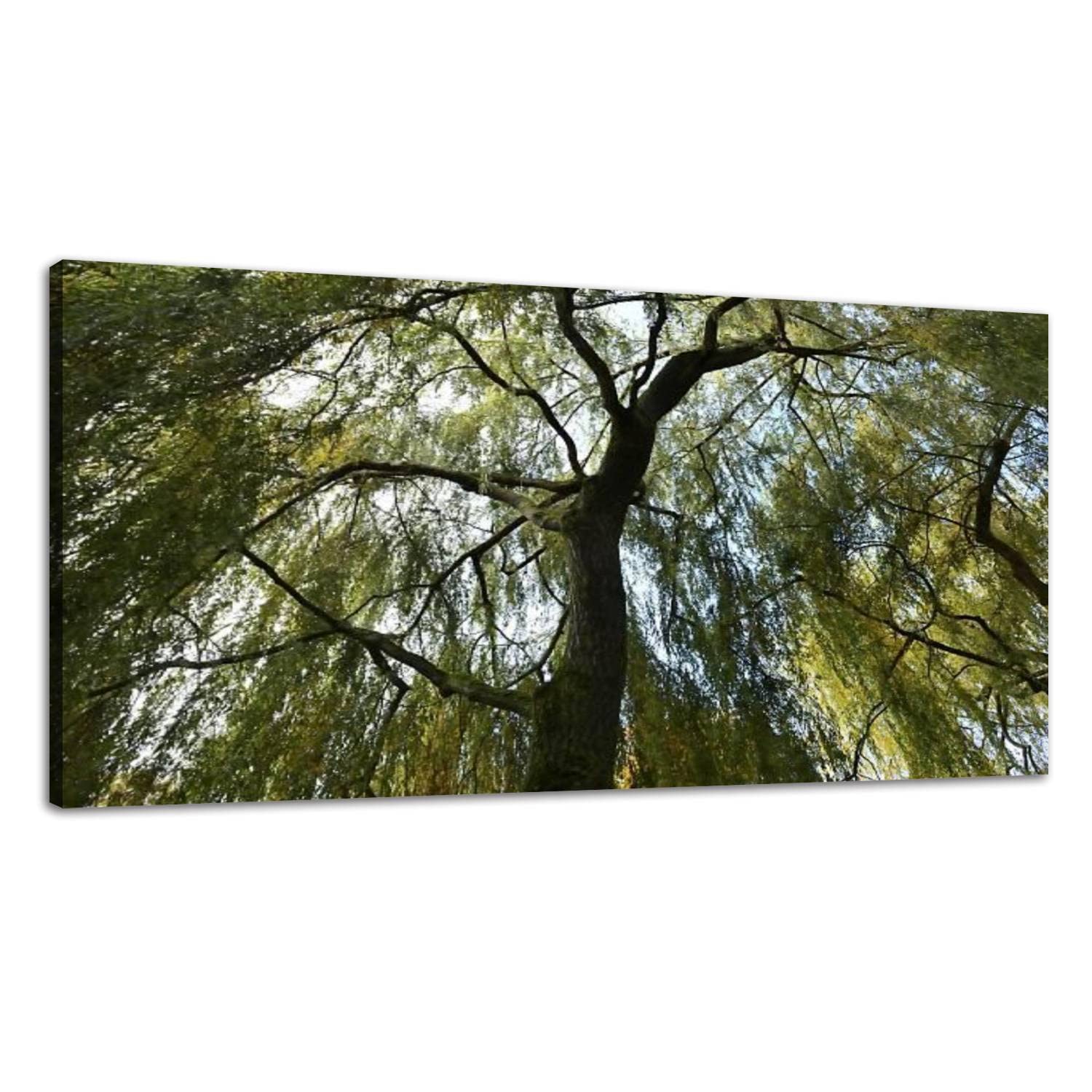 Large Canvas Wall Art weeping willow tree weeping willow stock pictures royalty free Canvas Prints Framed Painting Modern Artwork Abstract Stretched Poster Home Decoration Unique Gift 20"x40"