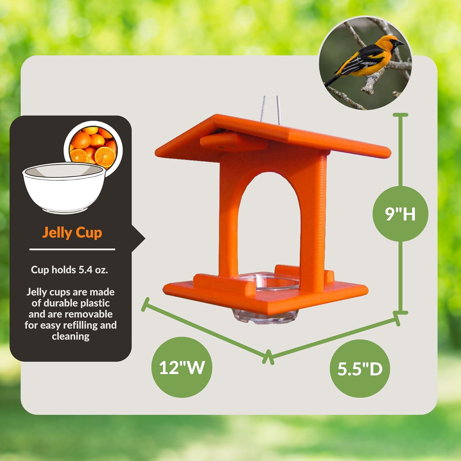 DutchCrafters Plastic Poly Single Oriole Bird Feeder, Outdoor Hanging Bird Feeder with 1 Acrylic Cup for Jelly or Jam, Fruit, Nectar or Seed for Orioles (Single, Orange)