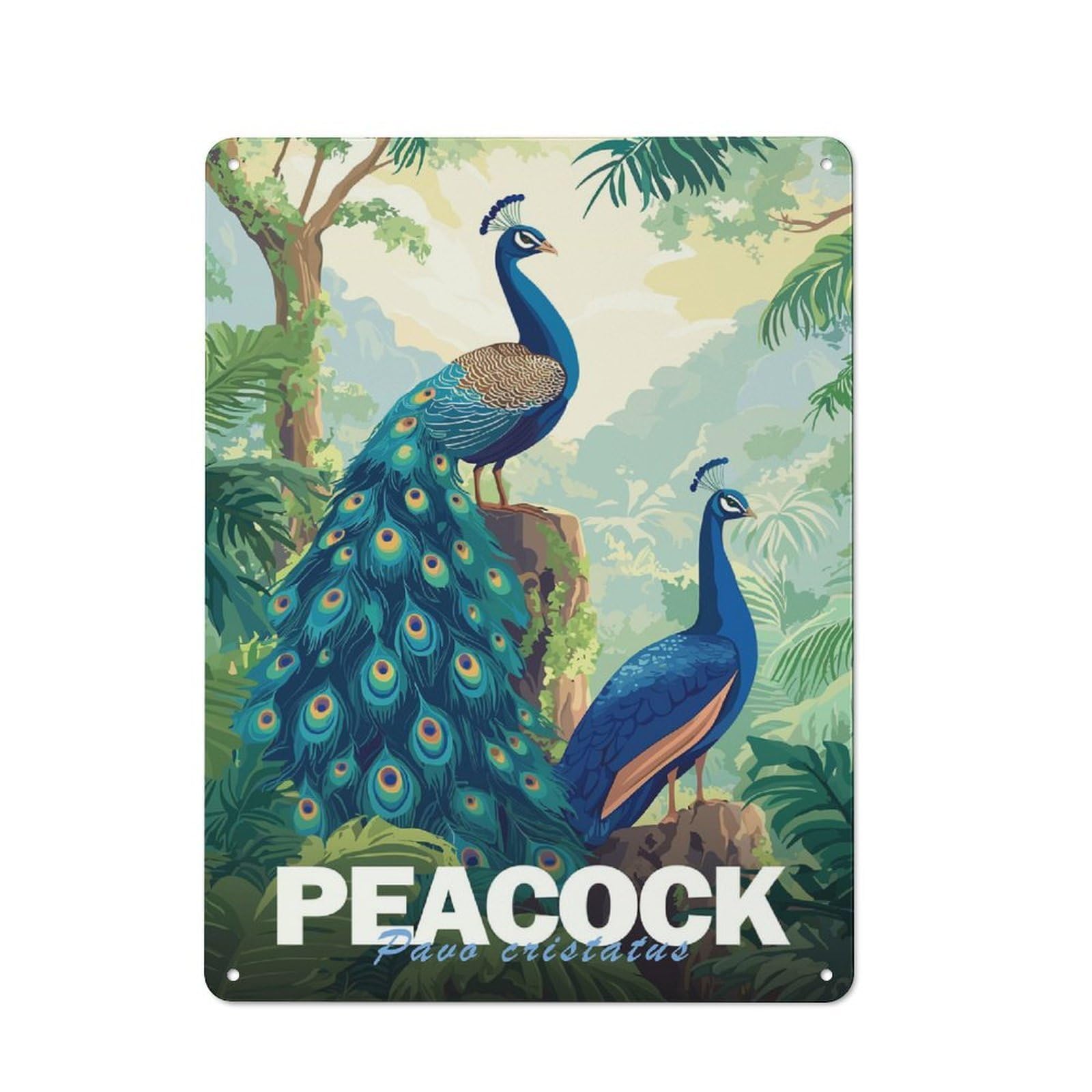 Peacock Illustration Tin Wall Plaque 40x30cm, Rustic Farmhouse Wall Decor for Dining Room, Cafe, Entryway Or Family Room