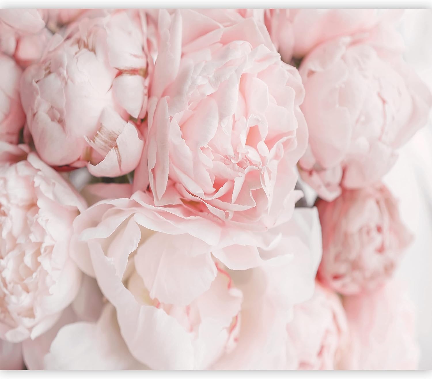 artgeist Wall Mural Peonies 154x110 in - XXL Peel and Stick Self-Adhesive Wallpaper Removable Large Sticker Foil Wall Decor Print Picture Image Design Flowers Bouquet of Flowers Roses b-C-10086-a-a