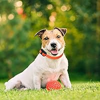 Vista 5 de Educator Puntos de contacto de la marca para collares de entrenamiento remoto de perros E-Collar, titanio, corto de 5/8 pulgadas