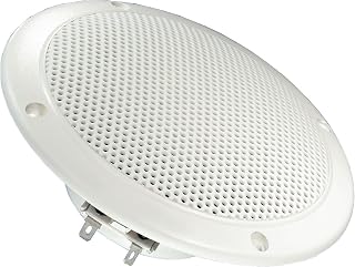 Visaton 2113 - Altavoz (5", 40 W, 60 W, 70-16000 Hz, 2 cm) color blanco