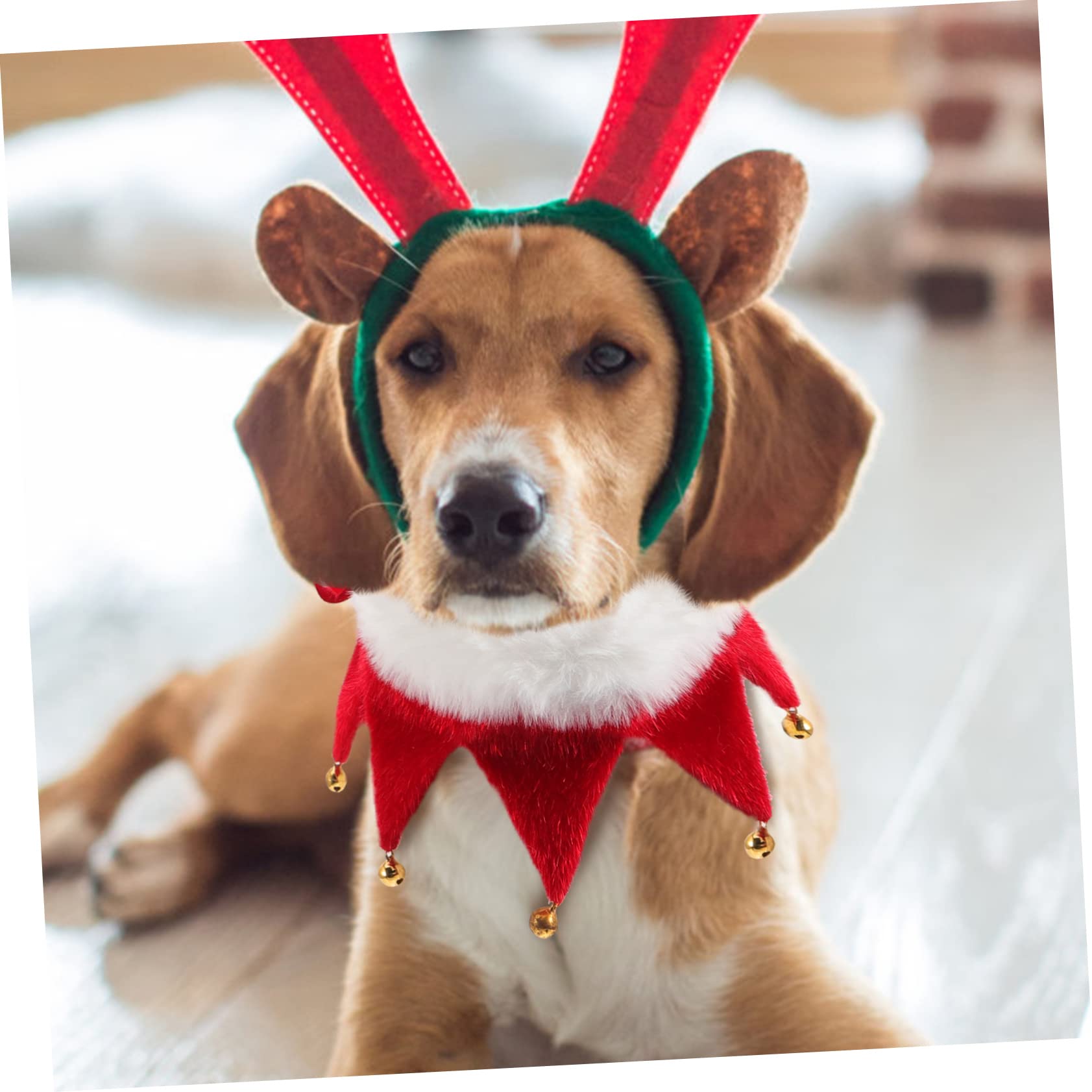 HANABASS Collier de Noël Ajustable avec Grelot pour Chien et Chat Design Festif et Confortable
