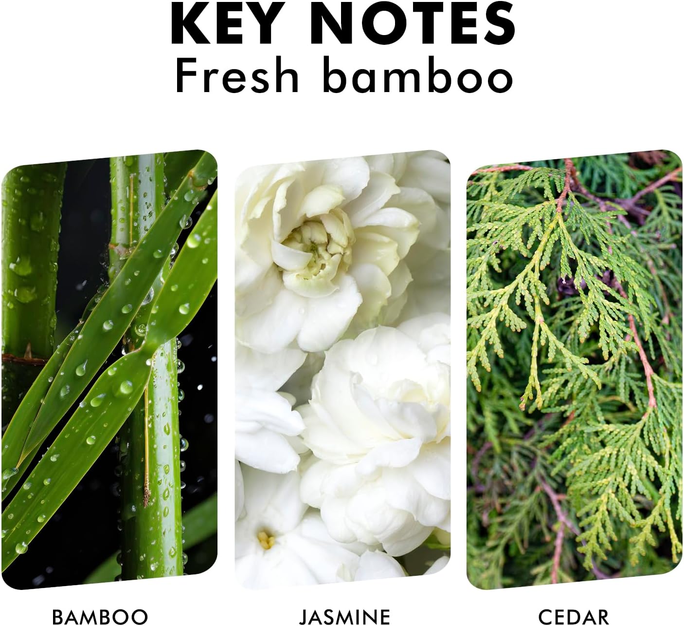 Reed Diffuser, Fresh Bamboo Scented Diffuser with Sticks, Home Fragrance Aromatherapy Oil Diffuser for Bathroom Office Decor - Image 3