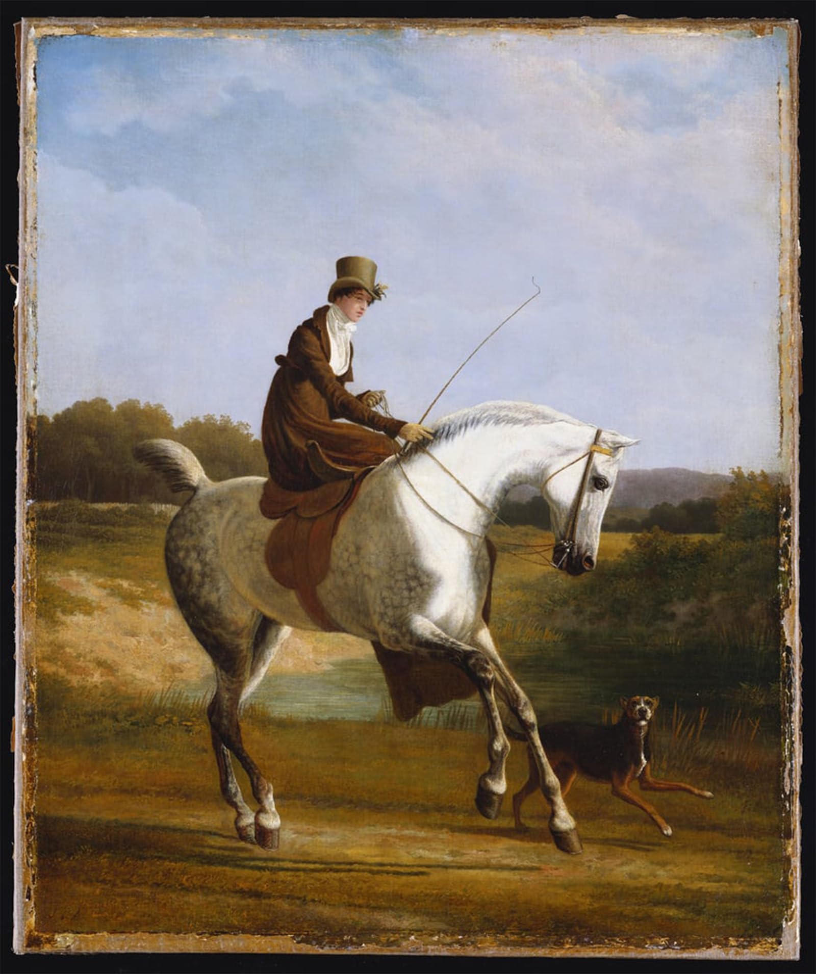 POSTERIIk Famous Print Pop Art Wall Art Graffiti Miss Cazenove on a Grey Hunter by Jacques Laurent Agasse Art Prints for Home Decor 60x90cm