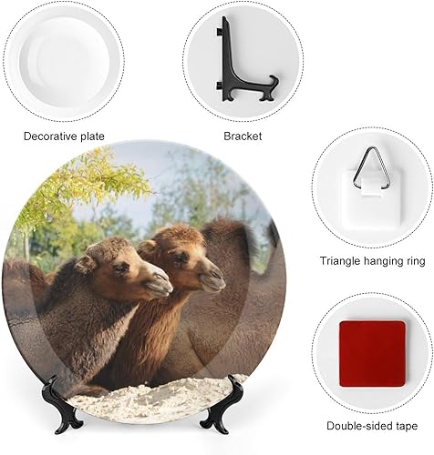 Miniatura 3 de Plato decorativo de 7 pulgadas, plato redondo de cerámica con soporte de exhibición, plato de mesa de porcelana moderna, decoración para colgar en