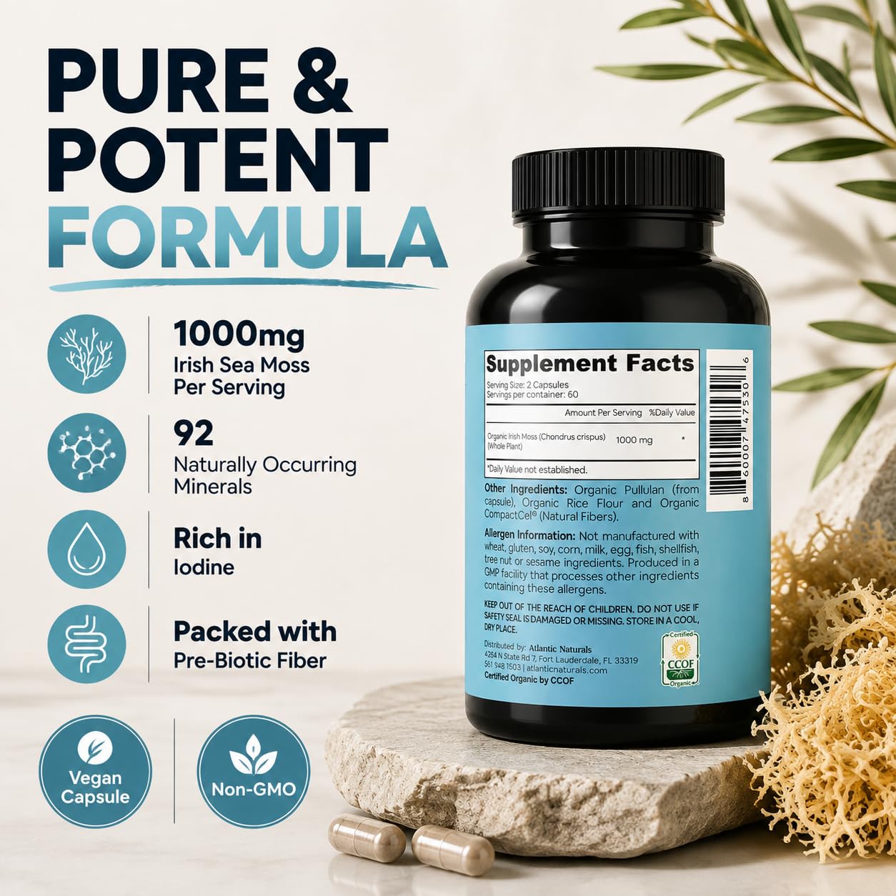 Atlantic Naturals Irish Sea Moss Capsules 1000mg - Organic Wildcrafted Seamoss Supplement, 120 Vegan Pills for Women & Men - Immune, Energy & Skin Support, 2-Month Supply — Amazon image 5