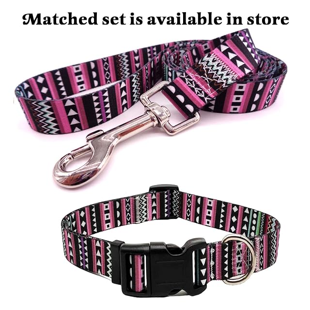 Foto 7 de 7 de Mihqy Collar Perro, Ajustable y Resistente con Patrones de Moda