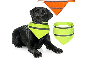 Blaze Orange Dog Bandana: Ultimate Protection and Visibility for Your Canine Companion