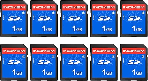 INDMEM - Tarjeta SD de 1 GB, 10 paquetes clase 4 1 GB tarjeta de memoria flash MLC estándar seguro tarjetas digitales tarjeta de cámara
