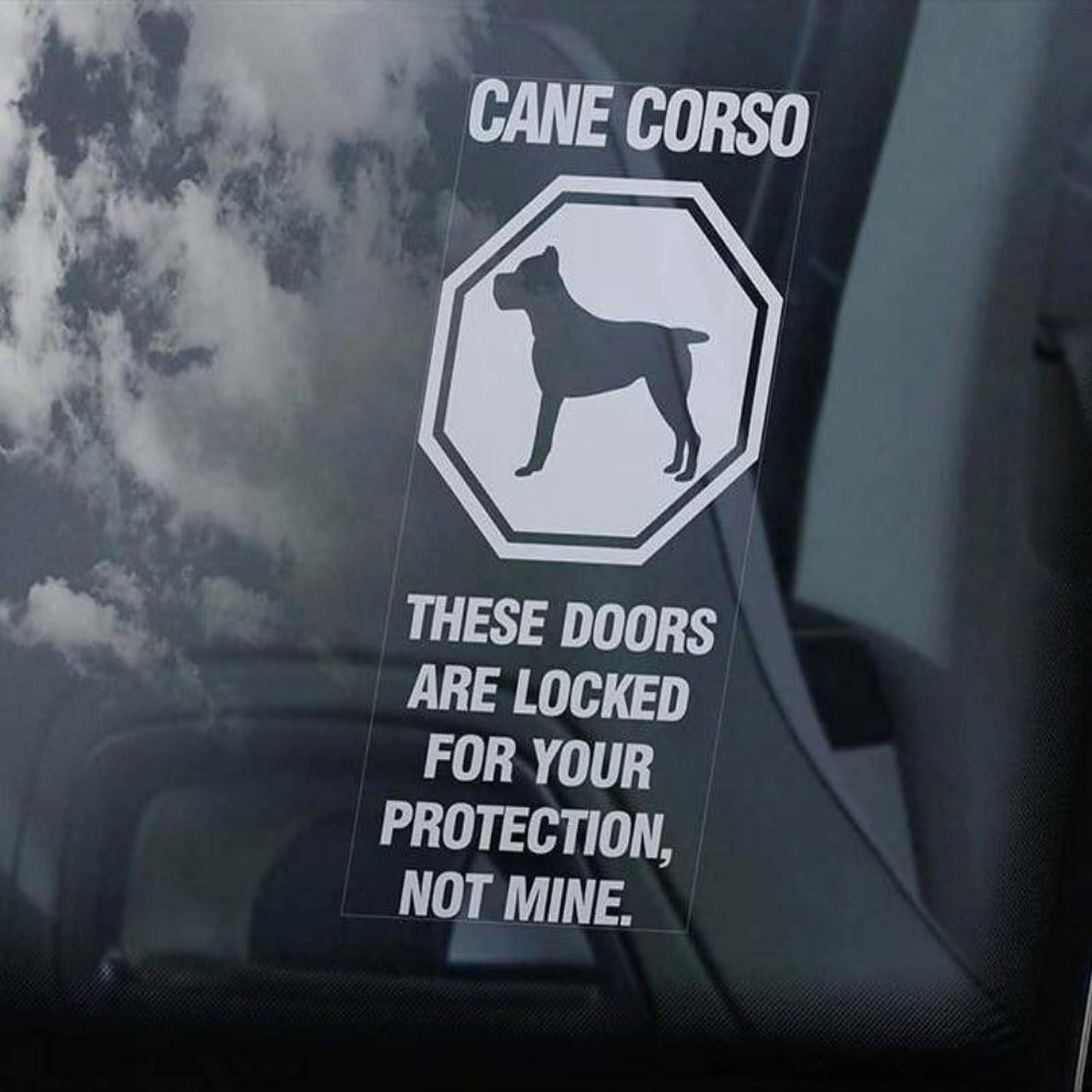 LMMIXEE Cane Corso on Board Stickers Car Decal Window Decal Beware of The Dog Italian Mastiff Sign Decal Dog Mom Dad Vinyl Die Cut Decals Funny Dog Bumper Stickers Cane Corso Gift