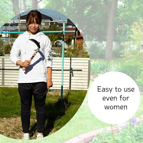 Miniatura 8 de Hoz japonesa (hoja gruesa), hoja de acero de alta calidad (acero azul n. 2) herramienta de mano para jardinería, deshierbe y agricultura, longitud