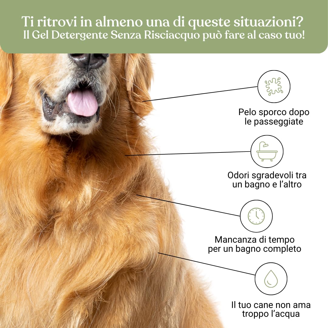 Bau Cosmesi Gel Detergente Senza Risciacquo, Shampoo Secco per Cani, Igienizzante e Idratante - Senza Parabeni e Siliconi, Naturale e Bio con Aloe Vera - Mela, 250 ml
