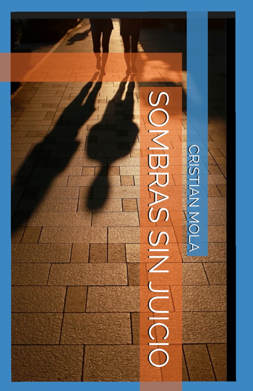 SOMBRAS SIN JUICIO