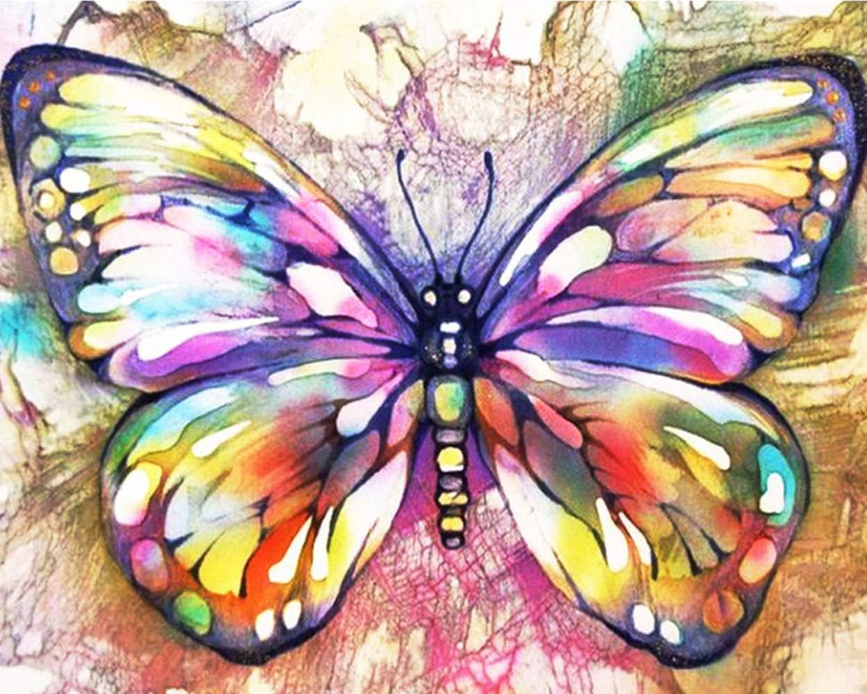 uspxqx Gorgeous Butterfly Paint by Numbers for Adults, Favorite of Oil Painting Lovers, Finished Product 20"x16" can be Used for Home Decoration.