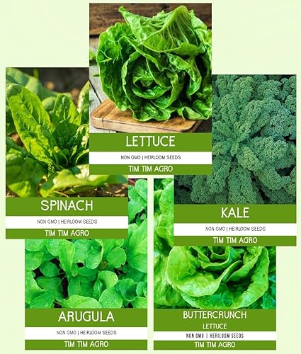 Tim Tim Agro Lettuce And Greens Heirloom Vegetable Seed Non-Gmo Seeds For Planting Indoors And Outdoor 5 Packs - Lettuce Buttercrunch, Romaine, Arugula, Kale And Spinach By Tim Tim Agro