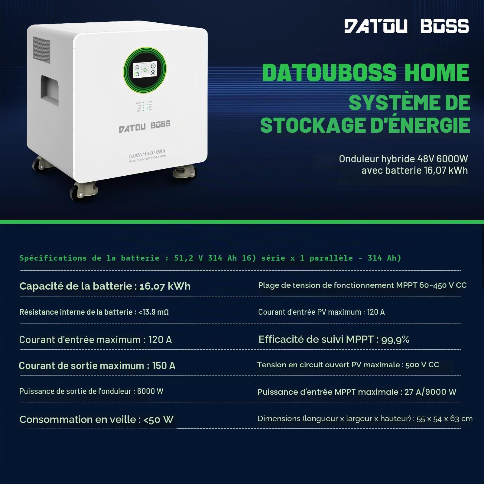 DATOUBOSS Batterie Lithium 48V 314Ah LiFePO4+6000W Onduleur Hybride 48V