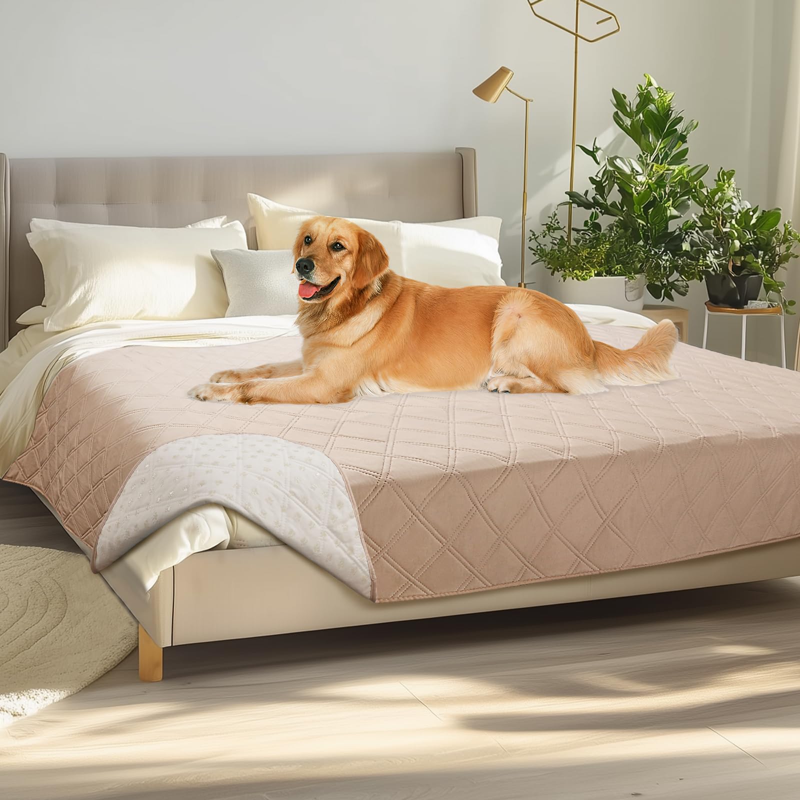 luciphia Copridivano per Cani Impermeabile, Coperta per Cani 100% Impermeabile con Punti Antiscivolo Tappetino Protezione per Mobili Bambini Cane Gatti Lavaggio in Lavatrice Beige kaki 173_x_208cm