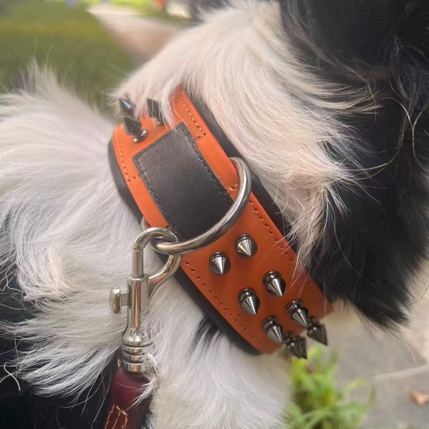 Luxury Leather Spike Dog Collar, Double-Layer Soft Cowhide, Punk Style for Medium and Large Dogs, Pit Bulls, Rowena (Orange,M-Neck 33-41cm)