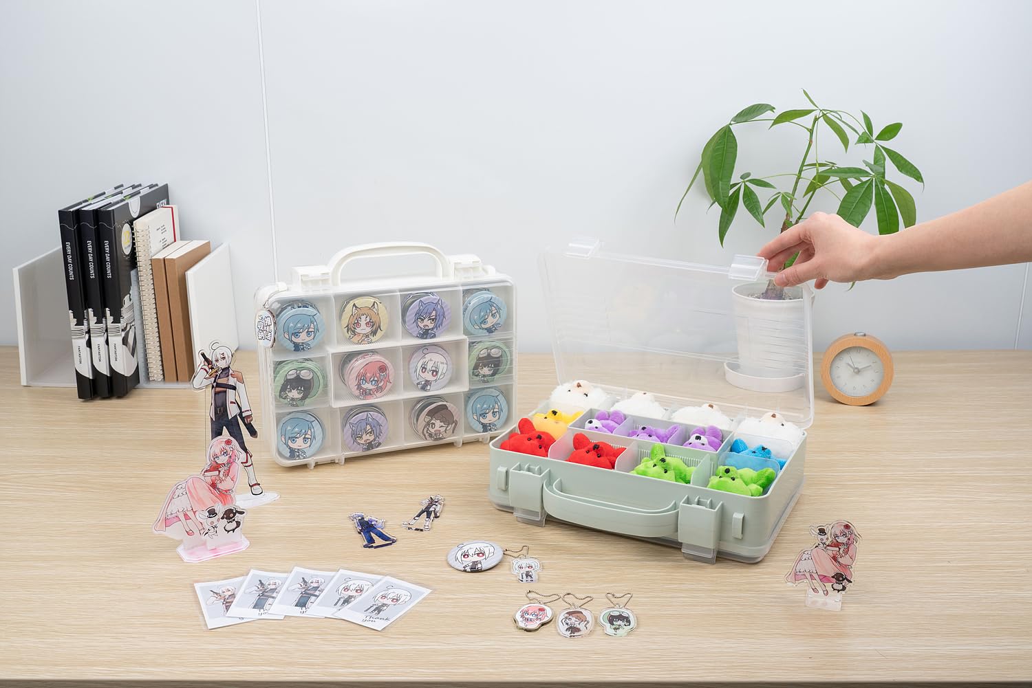 Amazon.co.jp: ツインコレクションケース300 : ホーム＆キッチン