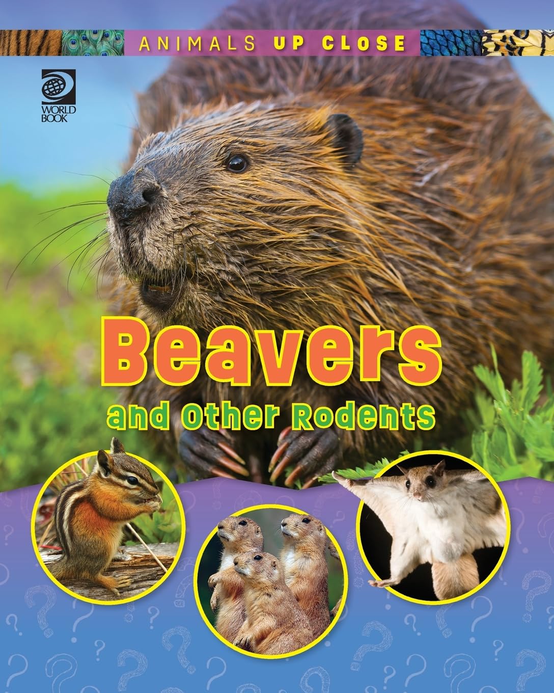 Beavers and Other Rodents