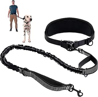 Laisse pour Chiens, Laisse Canicross Chiens, Laisse Chien Main Libre, Laisse Chien Autour De La Taille, Ceinture Réglable Et Laisse Élastique Rétractable, pour Canicross, Course à Pied, Randonnée