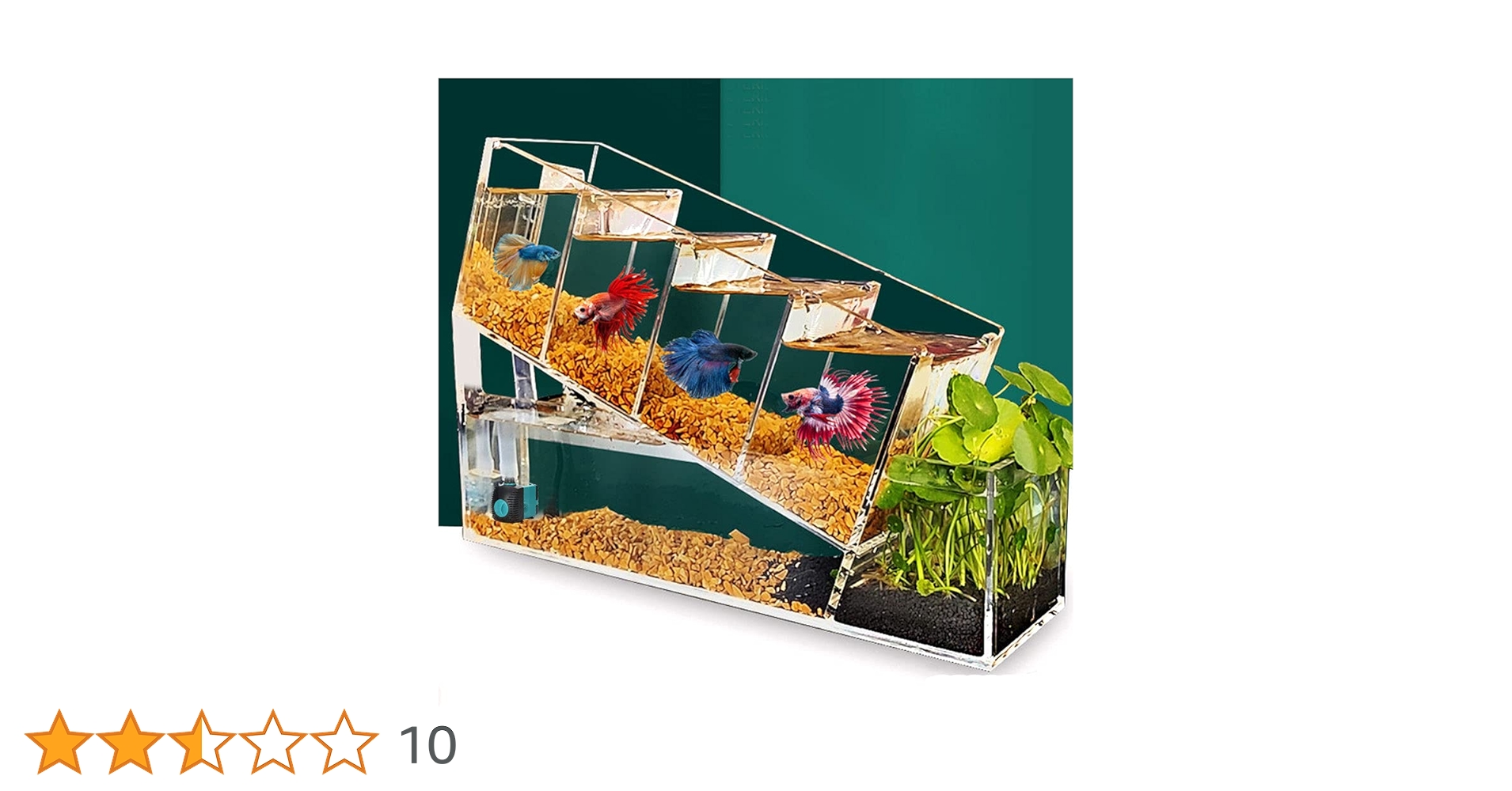 Amazon | Chestnut-YX ベタフィッシュタンク水族館キット
