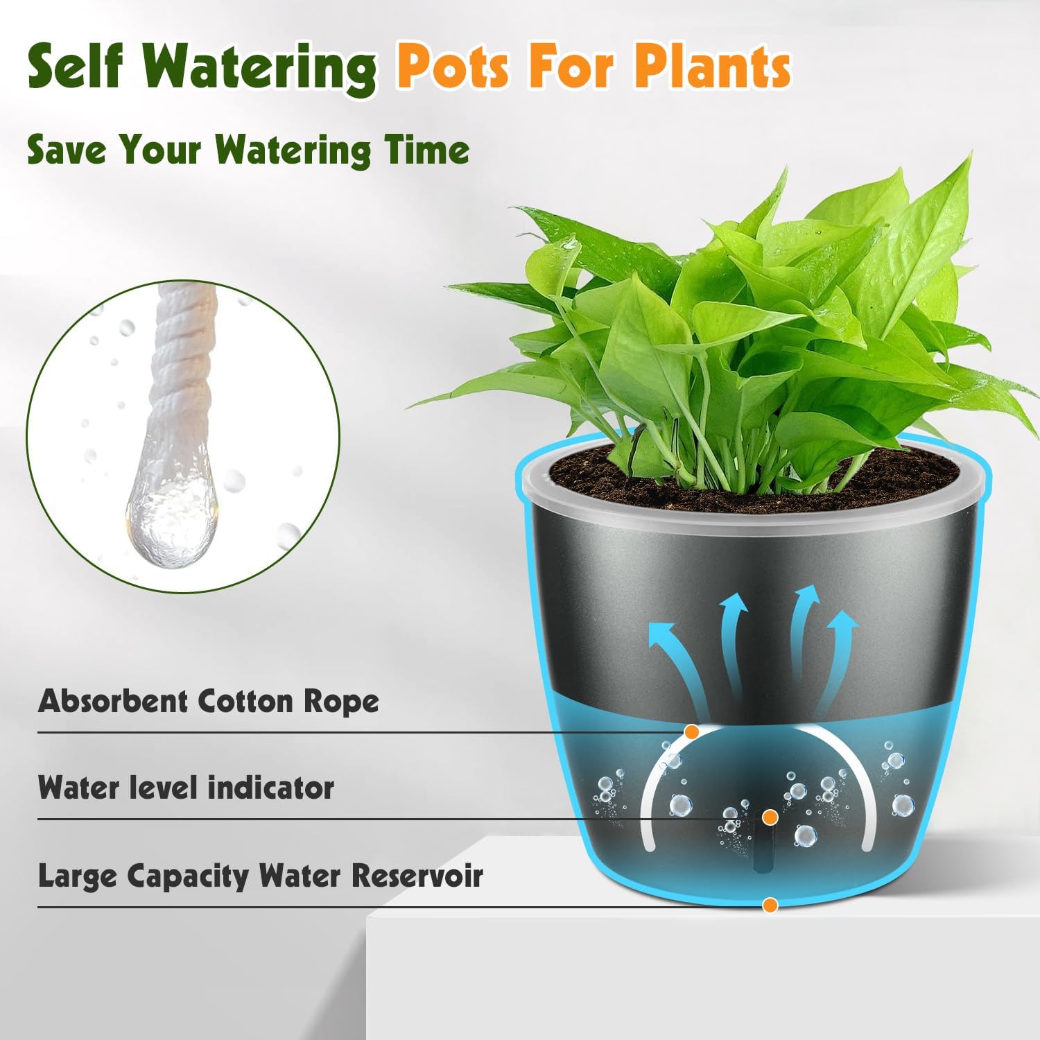 Self Watering Pots for Indoor Plants, 6-Pack 6.7'' Self Watering Planter with Drainage Holes, Small African Violet Pots with Water Indicator, Clear Wick Orchid Pot, Grey Gold image 4