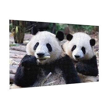 パンダの工房300 Amazon.co.jp: ジグソーパズル300／アドベンチャーワールド